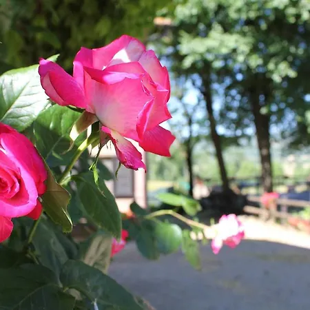 La Selva Çiftlik konaklama