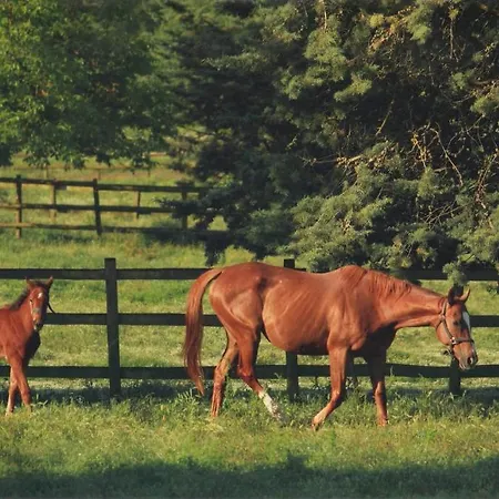 La Selva Çiftlik konaklama Siena