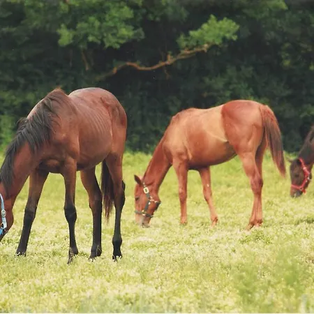 La Selva Çiftlik konaklama