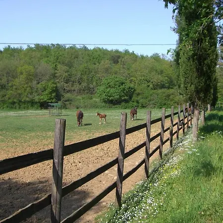 La Selva Фермерський будинок *