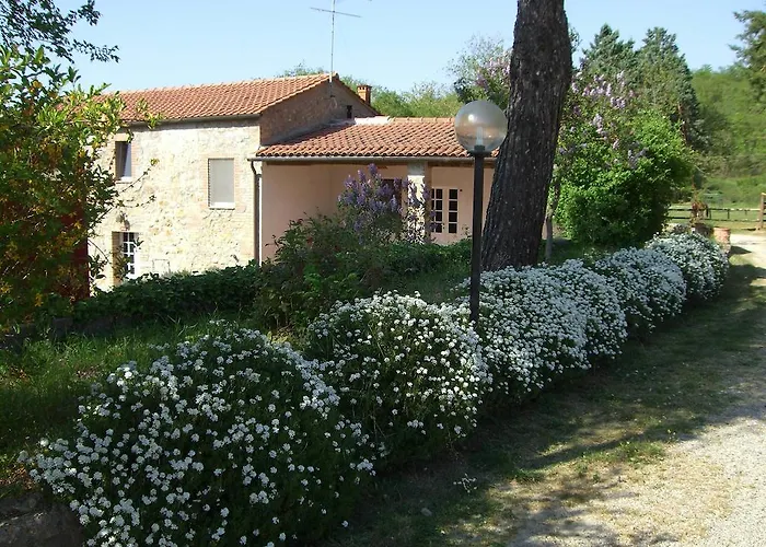 La Selva * Сієна