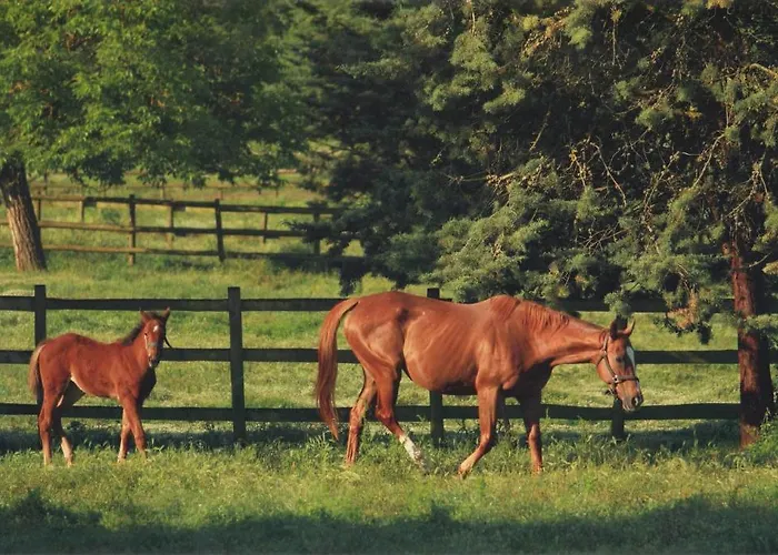 La Selva Фермерський будинок Сієна