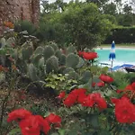 La Selva Siena