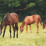 La Selva Vakantieboerderij