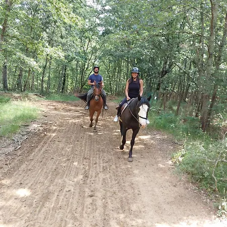 La Selva Vakantieboerderij *
