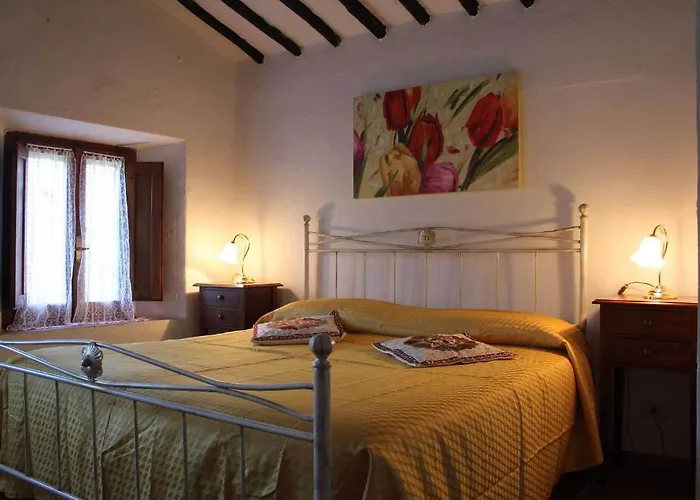 La Selva シエーナ