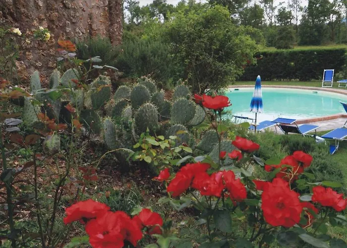 La Selva シエーナ