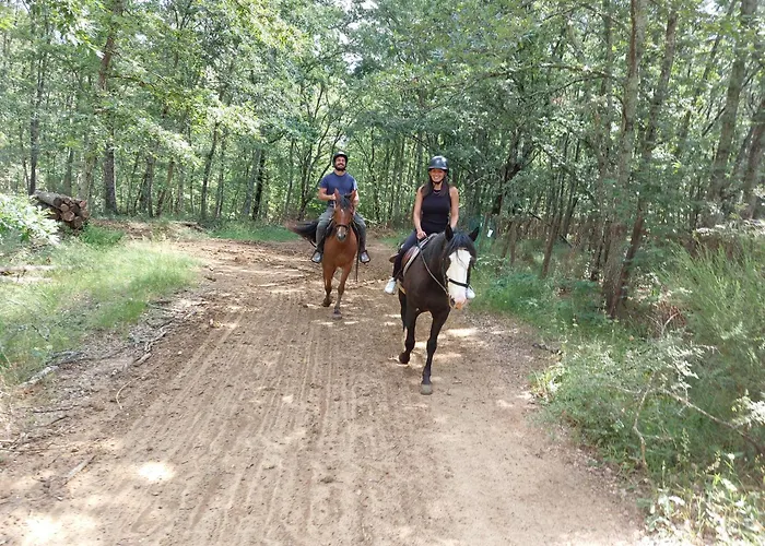 La Selva Vakantieboerderij *